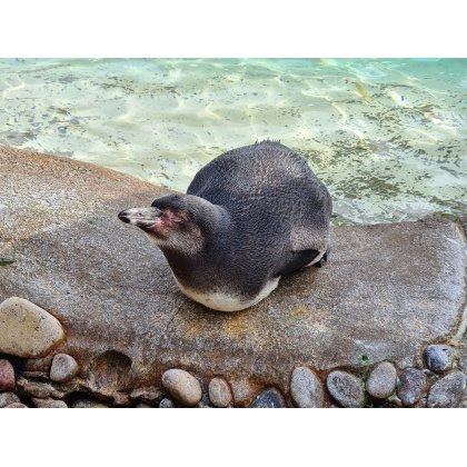 Iconography Test Product Iconography Test Product