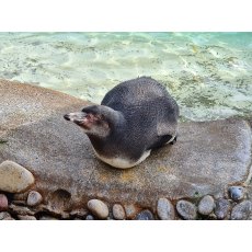 Iconography Test Product Iconography Test Product