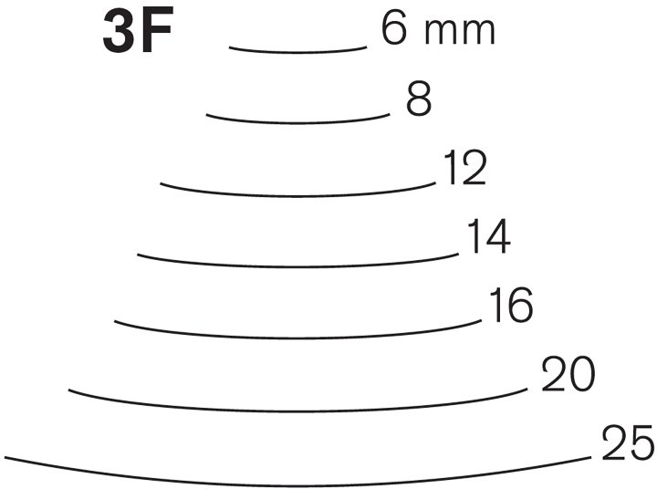 Pfeil Pfeil Fishtail Gouges Series 3F