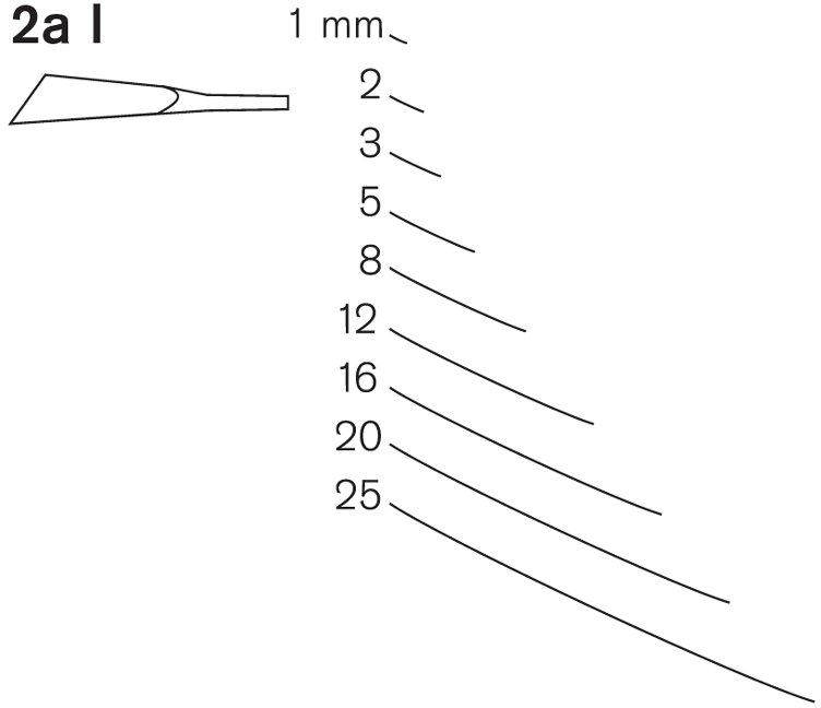 Pfeil Pfeil Series 2a L - Spoon Bent Gouge - Left Skew